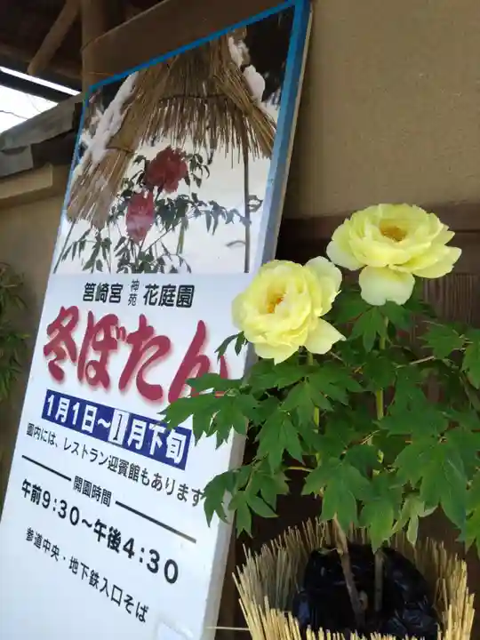 筥崎宮(福岡県)