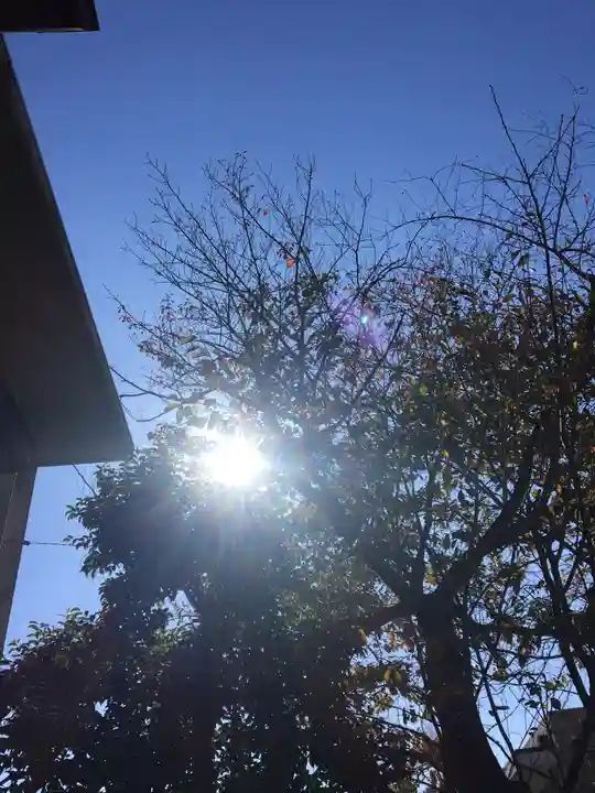麻布氷川神社の自然