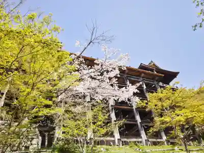 清水寺(京都府)