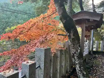 九頭龍神社(東京都)