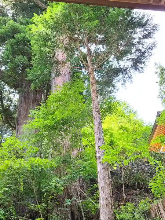榛名神社の{uncategorized: "未分類", other: "その他", undefined: "問題あり", building: "その他建物", grave: "お墓", sacred_gate: "鳥居", guardian: "狛犬", statue: "像", buddha: "仏像", history: "歴史", nature: "自然", garden: "庭園", animal: "動物", pagoda: "塔", temizu: "手水舎", mountain_gate: "山門・神門", sanctuary: "本殿・本堂", subordinate: "末社・摂社", art: "芸術", scenery: "景色", jizo: "地蔵", ema: "絵馬", goshuin: "御朱印", omikuji: "おみくじ", items: "授与品その他", amulet: "お守り", goshuincho: "御朱印帳", eats: "食事", festival: "お祭り", votive_dance: "神楽", shichigosan: "七五三参", wedding: "結婚式", experience: "体験その他", initially: "初詣", around: "周辺", anti_infection: "感染症対策"}