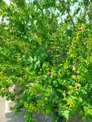 志磨神社(和歌山県)