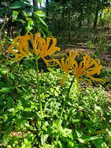 沙沙貴神社(滋賀県)