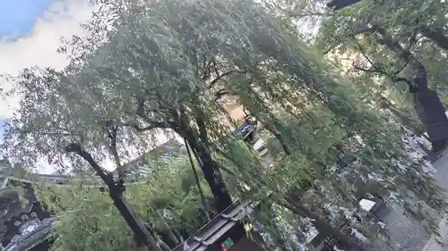 頂法寺（六角堂）(京都府)