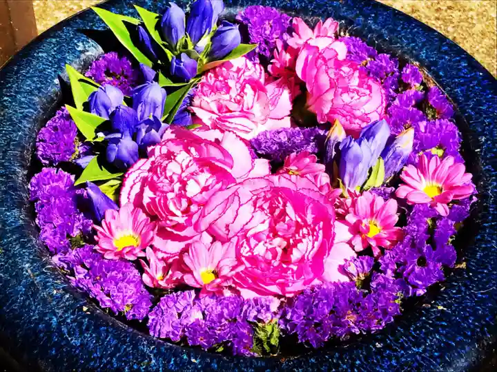 真言宗 善通寺派 薬王寺の手水舎