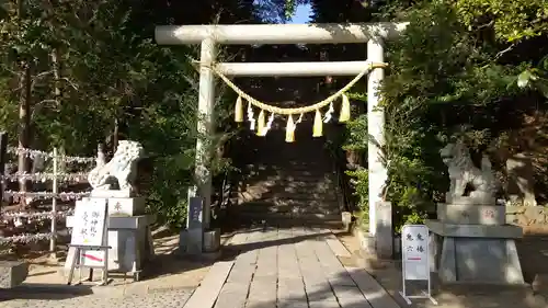 大國魂神社の鳥居