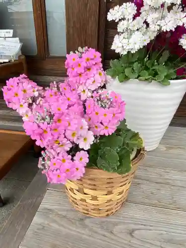 妙蓮寺(神奈川県)