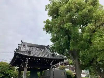 天妙国寺の{uncategorized: "未分類", other: "その他", undefined: "問題あり", building: "その他建物", grave: "お墓", sacred_gate: "鳥居", guardian: "狛犬", statue: "像", buddha: "仏像", history: "歴史", nature: "自然", garden: "庭園", animal: "動物", pagoda: "塔", temizu: "手水舎", mountain_gate: "山門・神門", sanctuary: "本殿・本堂", subordinate: "末社・摂社", art: "芸術", scenery: "景色", jizo: "地蔵", ema: "絵馬", goshuin: "御朱印", omikuji: "おみくじ", items: "授与品その他", amulet: "お守り", goshuincho: "御朱印帳", eats: "食事", festival: "お祭り", votive_dance: "神楽", shichigosan: "七五三参", wedding: "結婚式", experience: "体験その他", initially: "初詣", around: "周辺", anti_infection: "感染症対策"}