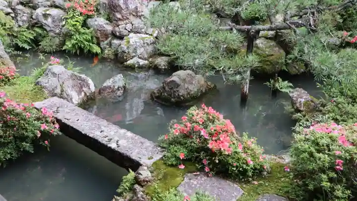柳谷観音 楊谷寺(京都府)