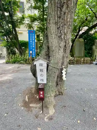 七社神社(東京都)