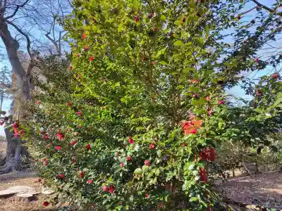 神炊館神社 ⁂奥州須賀川総鎮守⁂(福島県)