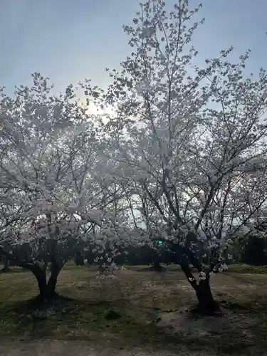 貴船神社の自然
