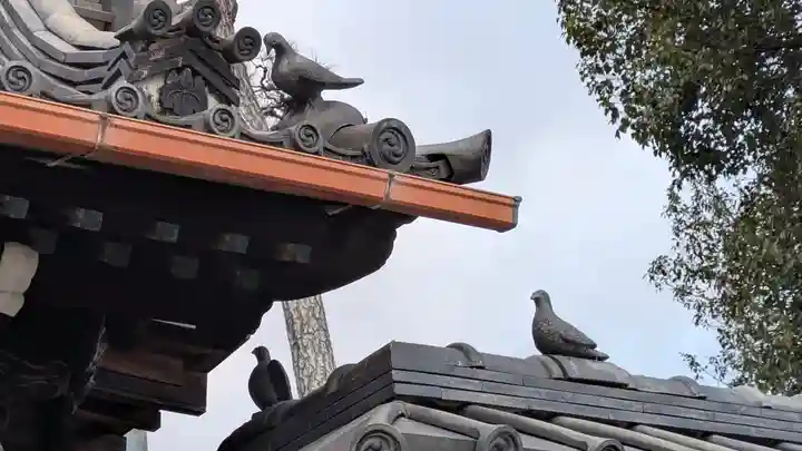 若宮八幡神社(滋賀県)