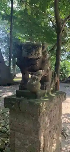 北本氷川神社の狛犬