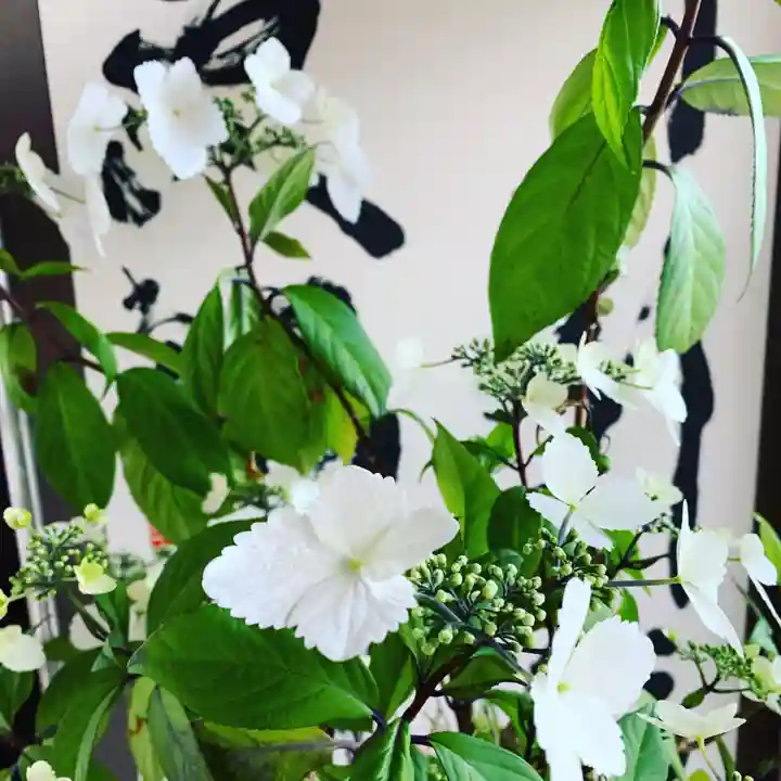 豊景神社の自然