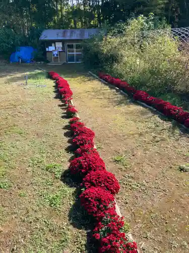 小坂熊野神社の建物その他