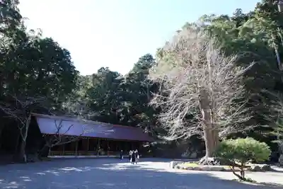 安房神社(千葉県)
