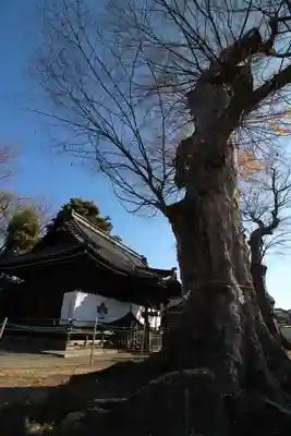 科野大宮社(長野県)