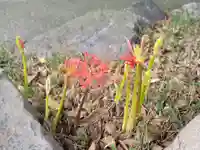 恵美須神社の自然
