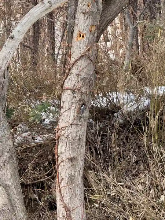 琴平神社(北海道)