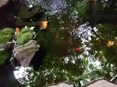 神明氷川神社(東京都)