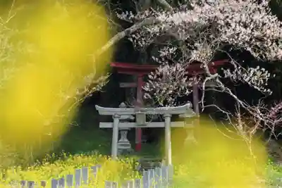 正一位稲荷神社の鳥居