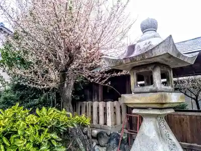 武嶋天神社の自然