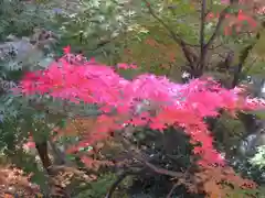 大正寺の庭園