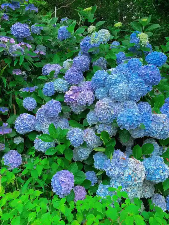 蟻通神社の手水舎