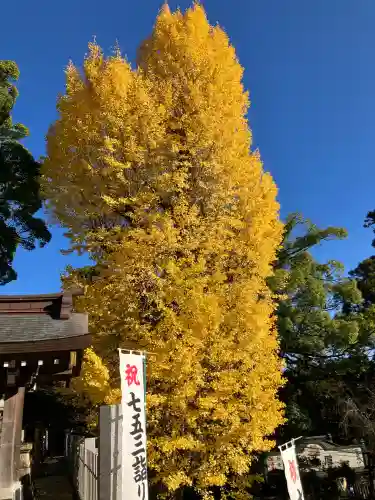 筑波山神社(茨城県)