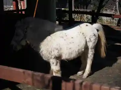 五方山熊野神社(東京都)