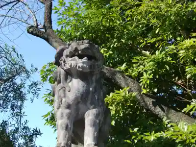 芝東照宮の狛犬