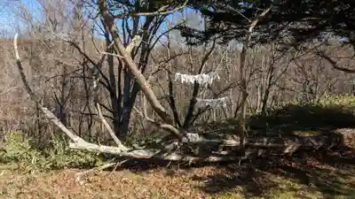 釧路神社のおみくじ
