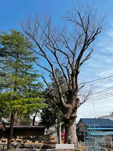 笠屋神社の庭園