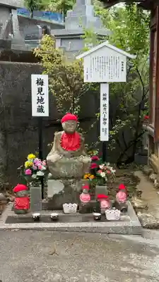 善楽寺(高知県)