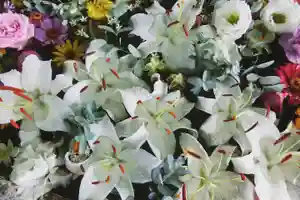 立志神社(滋賀県)(2021年07月20日(火) 09時00分49秒投稿)