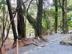 伊勢神宮内宮（皇大神宮）(三重県)