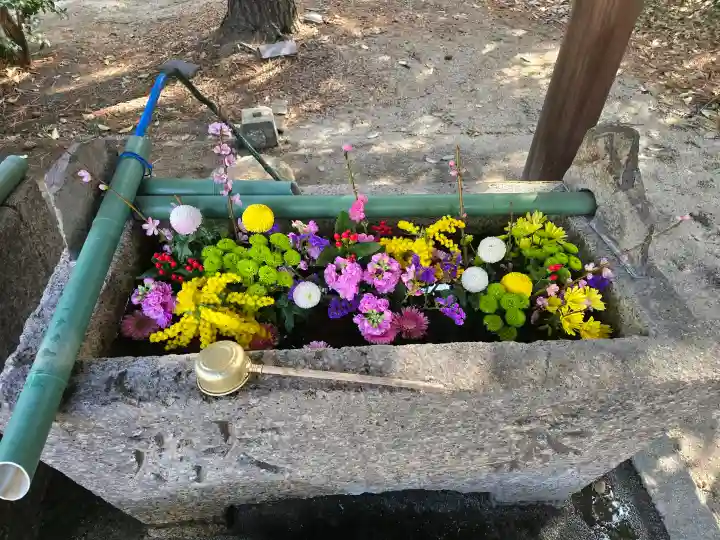 日部神社の{uncategorized: "未分類", other: "その他", undefined: "問題あり", building: "その他建物", grave: "お墓", sacred_gate: "鳥居", guardian: "狛犬", statue: "像", buddha: "仏像", history: "歴史", nature: "自然", garden: "庭園", animal: "動物", pagoda: "塔", temizu: "手水舎", mountain_gate: "山門・神門", sanctuary: "本殿・本堂", subordinate: "末社・摂社", art: "芸術", scenery: "景色", jizo: "地蔵", ema: "絵馬", goshuin: "御朱印", omikuji: "おみくじ", items: "授与品その他", amulet: "お守り", goshuincho: "御朱印帳", eats: "食事", festival: "お祭り", votive_dance: "神楽", shichigosan: "七五三参", wedding: "結婚式", experience: "体験その他", initially: "初詣", around: "周辺", anti_infection: "感染症対策"}