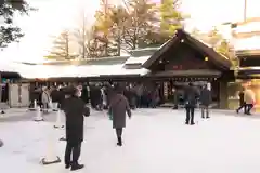 北海道神宮の初詣