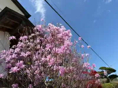淺間神社（忍野八海）の{uncategorized: "未分類", other: "その他", undefined: "問題あり", building: "その他建物", grave: "お墓", sacred_gate: "鳥居", guardian: "狛犬", statue: "像", buddha: "仏像", history: "歴史", nature: "自然", garden: "庭園", animal: "動物", pagoda: "塔", temizu: "手水舎", mountain_gate: "山門・神門", sanctuary: "本殿・本堂", subordinate: "末社・摂社", art: "芸術", scenery: "景色", jizo: "地蔵", ema: "絵馬", goshuin: "御朱印", omikuji: "おみくじ", items: "授与品その他", amulet: "お守り", goshuincho: "御朱印帳", eats: "食事", festival: "お祭り", votive_dance: "神楽", shichigosan: "七五三参", wedding: "結婚式", experience: "体験その他", initially: "初詣", around: "周辺", anti_infection: "感染症対策"}