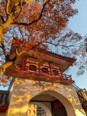 成願寺(東京都)