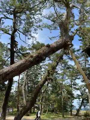 天橋立神社(京都府)
