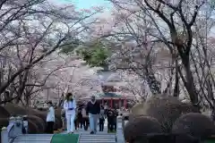 聖光寺(長野県)