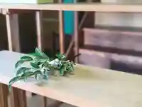 伏木香取神社の体験その他