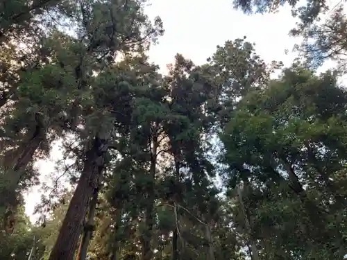 大宮温泉神社(栃木県)