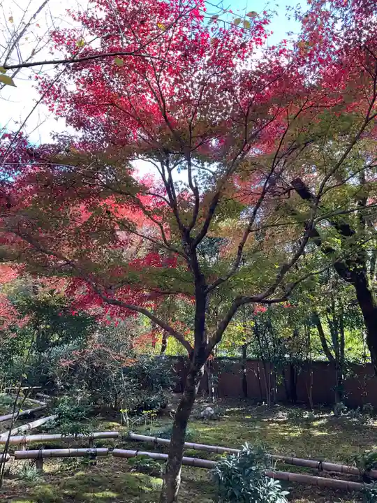 直指庵(京都府)