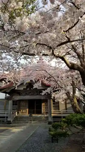 帰厚院の自然