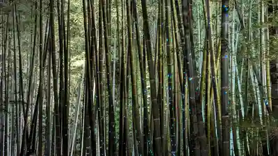 高台寺（高台寿聖禅寺・高臺寺）(京都府)