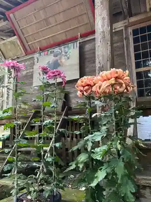 大宮温泉神社(栃木県)