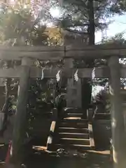 玉川神社の鳥居